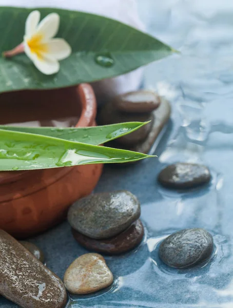 Spa Doğal Tropikal Flowre Masaj Tedavisi Için Taşlarla Yapraklarda Mavi — Stok fotoğraf