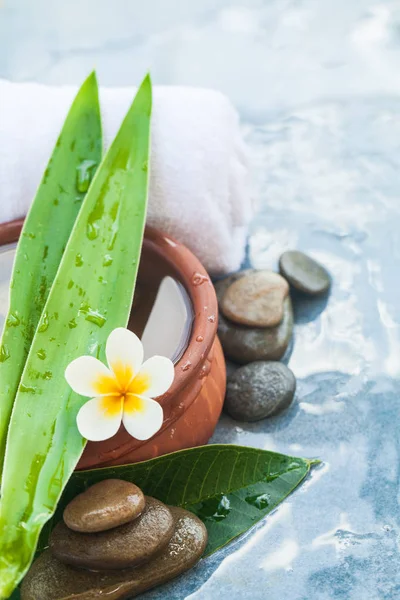 spa objects with long green leaves and flower for massage treatment on light background.