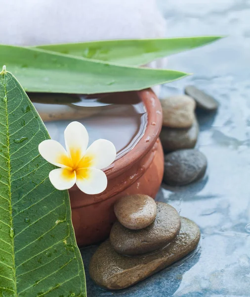 Tropisch Schöne Weiße Blüten Und Wellnessobjekte Mit Steinen Für Massageanwendungen — Stockfoto