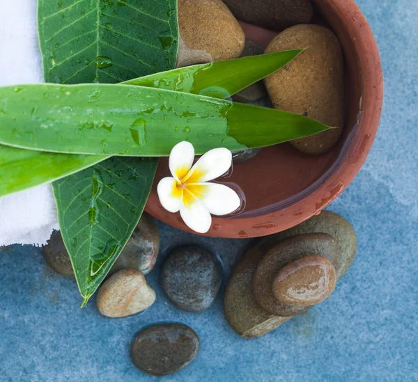 Tropická Květina Spa Kameny Pro Relaxaci Čas Modrém Pozadí — Stock fotografie