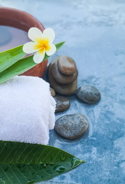 Tropische Blume Mit Zwei Blättern Und Sonnenlicht Für Den Wellnessbereich — Stockfoto