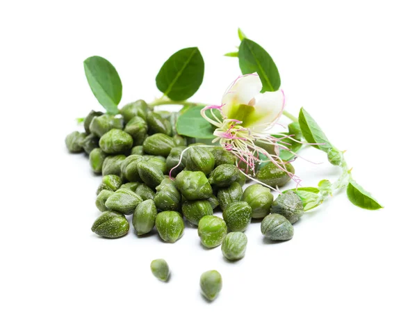 Bio Kapern Mit Grünen Blättern Und Blüten Auf Weißem Hintergrund — Stockfoto