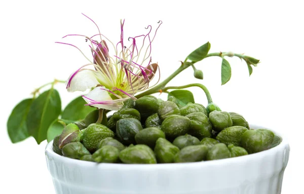 Capperi Ciotola Bianca Isolati Bianco Cappero Con Foglie Verdi Fiore — Foto Stock