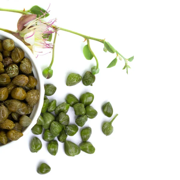 Kapern Eingelegte Kapern Rohe Knospe Und Kaperpflanze Auf Weißem Hintergrund — Stockfoto