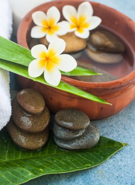 Spa arka plan ile yeşil yaprakları, mavi çiçekler