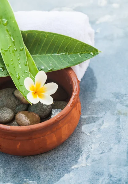 Bovenaanzicht Van Bloemen Bladeren Stenen Voor Ontspannen Behandeling Blauwe Achtergrond — Stockfoto