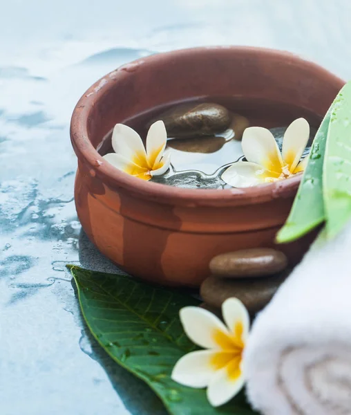 Tropische Inhalte Für Wellness Salon Auf Blauem Hintergrund Mit Sonnenlicht — Stockfoto