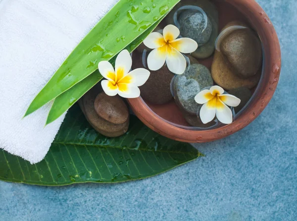 Draufsicht Auf Wellnessobjekte Steine Grüne Blätter Und Blumen Für Massageanwendungen — Stockfoto