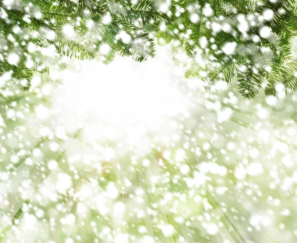 Jul Bakgrund Med Vit Snö Grönt Xmas Tree Kvist Och — Stockfoto