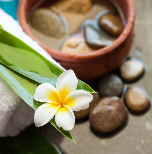 Flor Tropical Blanca Sobre Dos Hojas Verdes Con Toalla Piedras —  Fotos de Stock