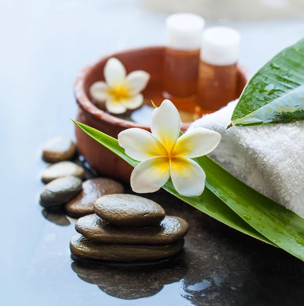 Wasserschale Mit Kleinen Ölflaschen Und Blume Wellnesshandtuch Und Stein Körperpflege — Stockfoto