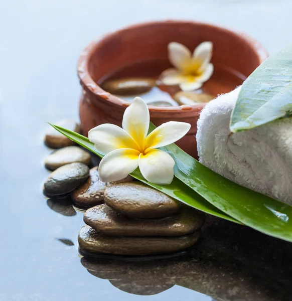 Ovanifrån Spa Stenar Och Blommor För Massagebehandling Mörk Bakgrund — Stockfoto