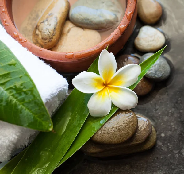 Spa Wellness Achtergrond Met Witte Towels Handdoeken Tropische Bladeren Bloemen — Stockfoto