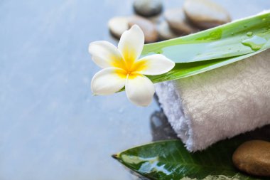 Masaj Spa nesneleri ve vücut için taş koyu arka plan üzerine etkisi.