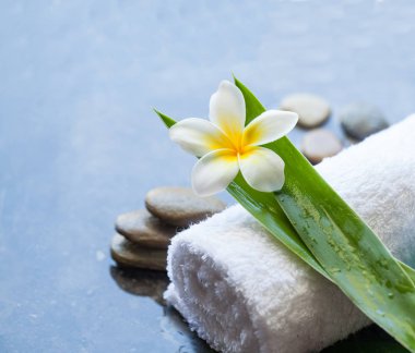 Havlu ve taş Spa tropikal çiçeklerle. Vücut bakımı ve spa concep