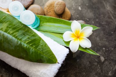Üstten görünüm Spa ya da sağlık ayarının tropik çiçekler, havlu ve krem tüp ile. Vücut bakımı ve spa konsept
