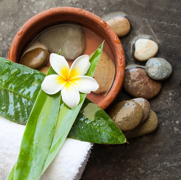 Draufsicht Auf Wellness Steine Und Blume Für Massageanwendungen Auf Dunklem — Stockfoto