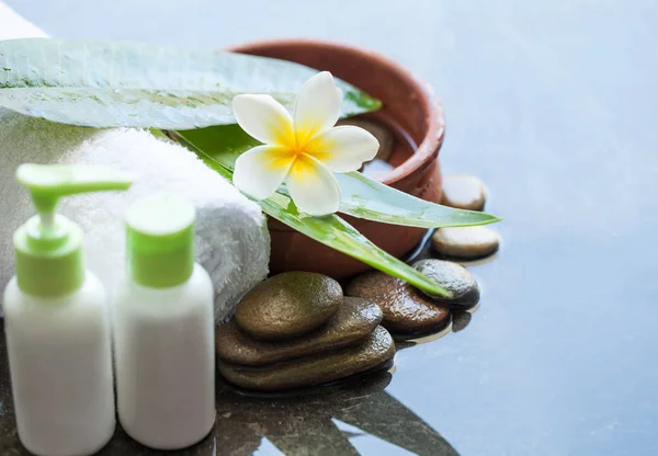 Contenuto Spa Benessere Con Fiori Tropicali Ciotola Acqua Asciugamano Tubo — Foto Stock