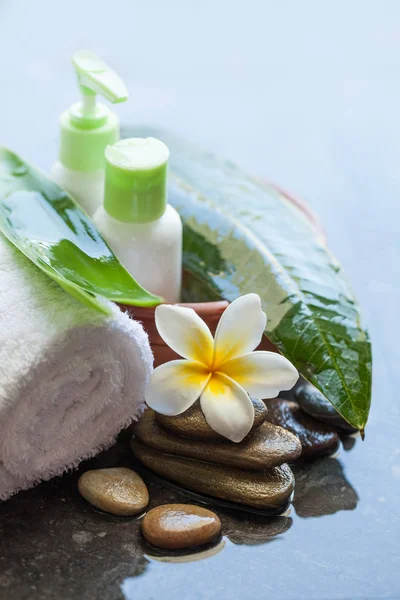 Spa Wellness Setting Tropical Flowers Bowl Water Cream Tube Body — Stock Photo, Image