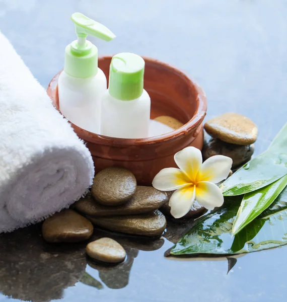 Tropenspa Konzept Mit Cremetuben Körperpflege Und Wellness Für Die Behandlung — Stockfoto