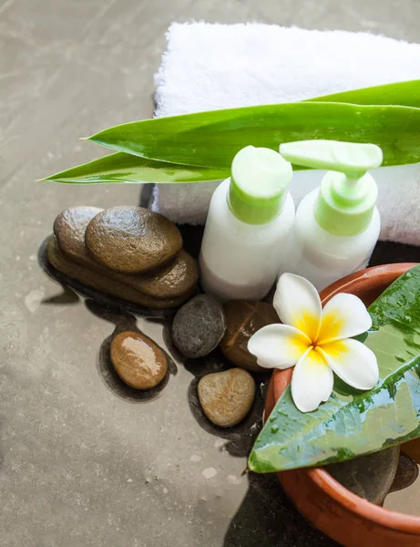 Tazón Agua Toalla Tubo Crema Con Flor Tropical Cuidado Corporal —  Fotos de Stock