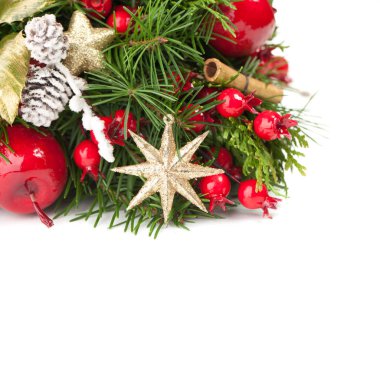 Noel ağacı dal, kırmızı dut, altın yıldız ve beyaz arka plan üzerinde yeni yıl dekorasyon