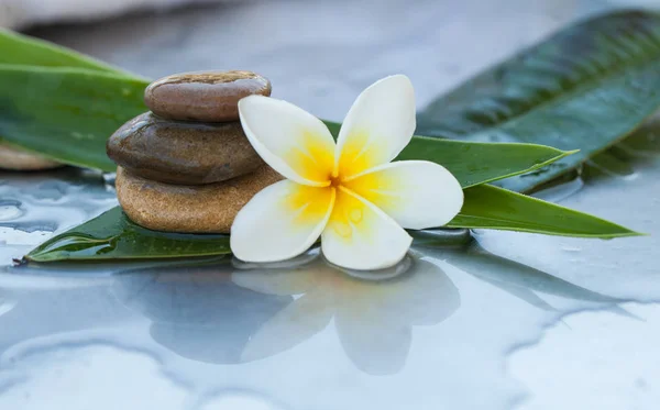 Steine Und Blume Für Kurkonzept — Stockfoto