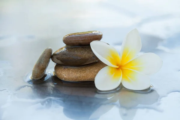 Wellness Blume Und Steine Für Massage Behandlung Auf Weißem Hintergrund — Stockfoto