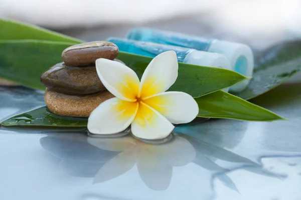 Tropische Bloemen Kom Met Water Handdoek Olie Buis Lichaam Verzorging — Stockfoto