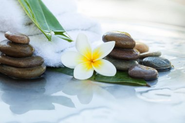 Taş, yaprak, çiçek ve vücut masajı için beyaz havlu