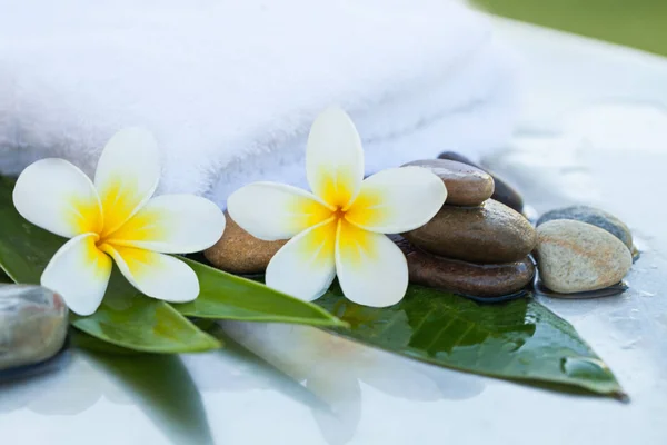 Wunderschöne Tropische Blumen Handtuch Und Steine — Stockfoto