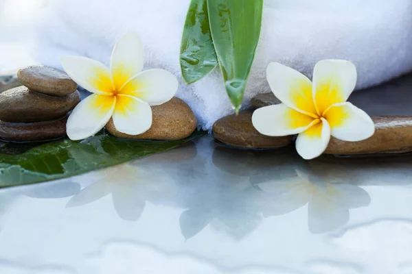 Blommor Och Stenar Med Vit Handduk För Spa Behandling — Stockfoto