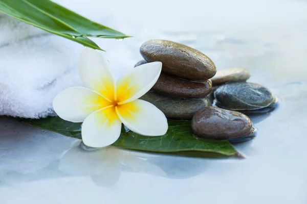 Wellness Hintergrund Mit Grünen Blättern Blumen Und Handtuch Auf Weißem — Stockfoto