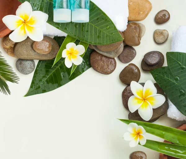 Wellness Met Groene Bladeren Stenen Bloemen Cosmetica Witte Achtergrond — Stockfoto