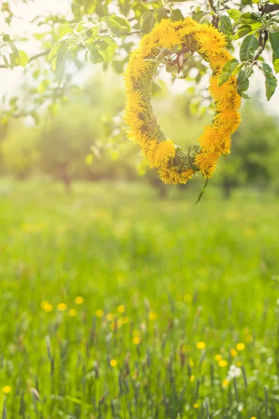 Bahar Çiçekleri Soyut Bokeh Bulanık Çimen Sağlık Paskalya Arka Plan — Stok fotoğraf