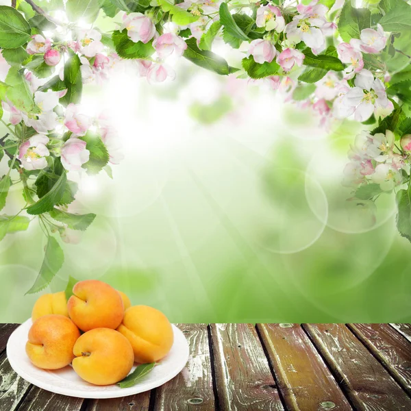 Apricot Fruits White Plate Old Wooden Table Abstract Background Green — Stock Photo, Image