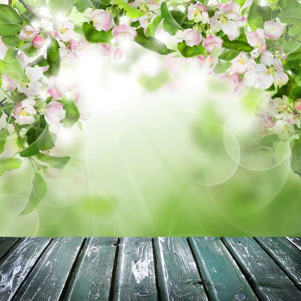 Frühling Hintergrund Mit Vintage Holztisch Grünen Blättern Und Weißen Blumen — Stockfoto