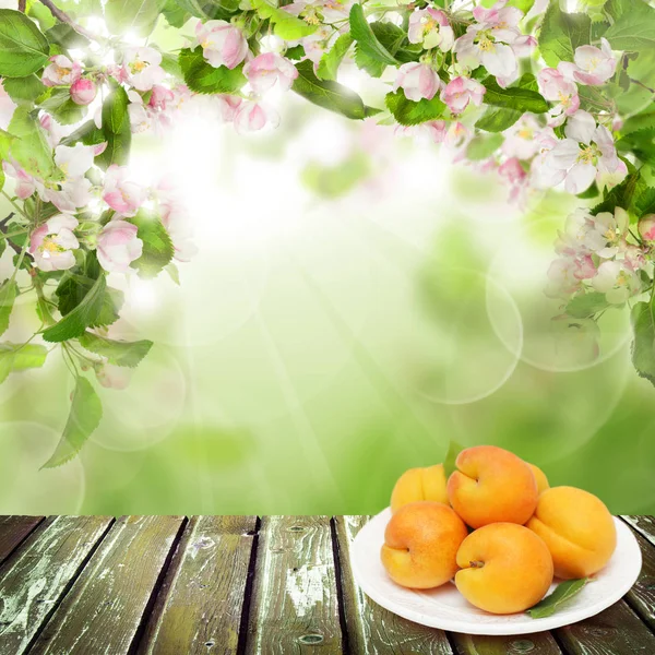 Fresh Apricot Fruits Empty Wooden Table Copy Space Abstract Background — Stock Photo, Image