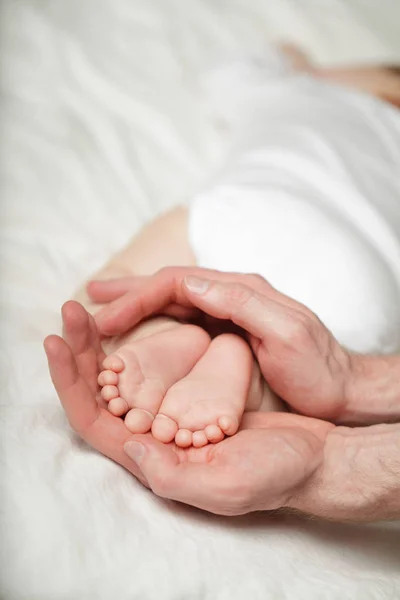 Little baby feets on parent hands on white — Stock Photo, Image