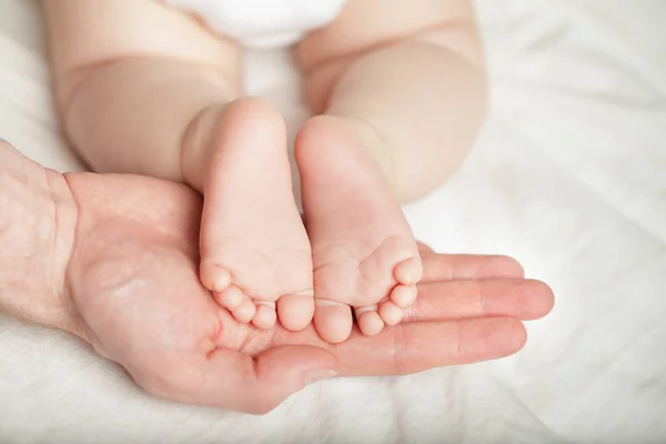 Newborn baby feets in parent hands at home — Stock Photo, Image