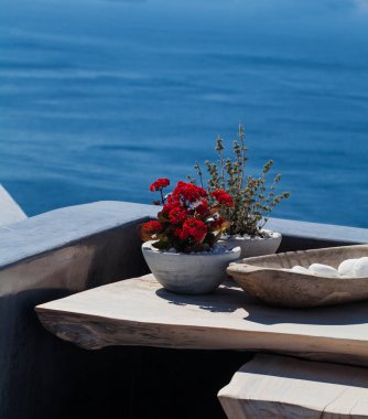 Santorini adasında kırmızı çiçekler