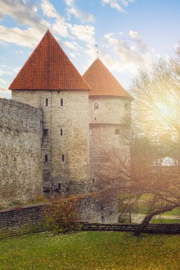Kale duvar ve kule eski şehir Tallinn, Estonya