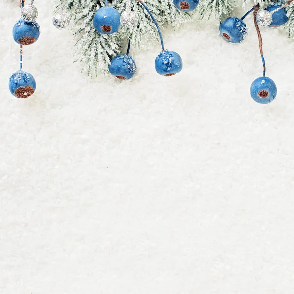 Composición navideña con ramita de árbol de Navidad verde, bayas azules — Foto de Stock