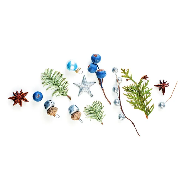 Bonita tarjeta de Navidad. Navidad composición de invierno de berrie azul —  Fotos de Stock