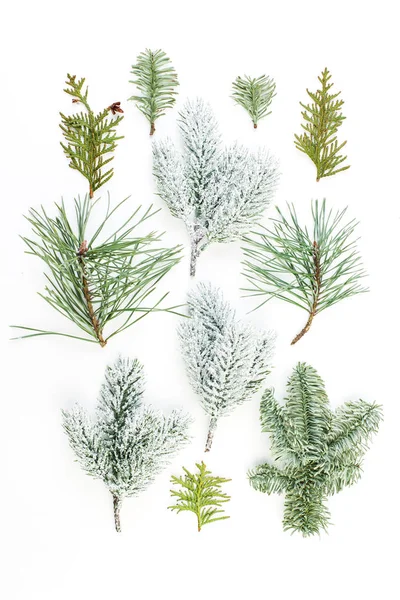 不同的圣诞树分支。绿色冷杉树枝的组成 — 图库照片