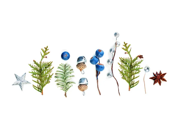Composición navideña con hierbas de invierno. Bayas azules, estrella de plata —  Fotos de Stock