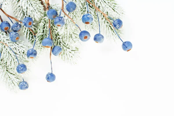 圣诞节边界的圣诞树枝和蓝色浆果孤立 — 图库照片