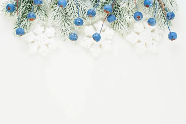Composição de cartão de Natal de inverno com bagas azuis — Fotografia de Stock