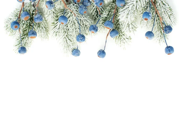 Χριστουγεννιάτικα σύνορα με πράσινο χριστουγεννιάτικο κλαδί δέντρου και μπλε μούρα — Φωτογραφία Αρχείου