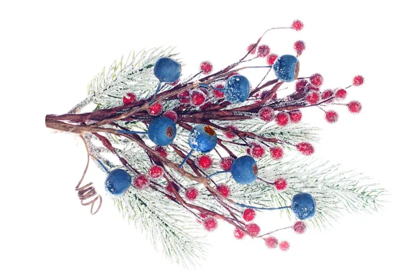 Decoración de invierno. Rama de árbol de Navidad y bayas de colores aislados —  Fotos de Stock